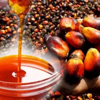 Where to Get Palm Oil in Large Quantities in Imo State