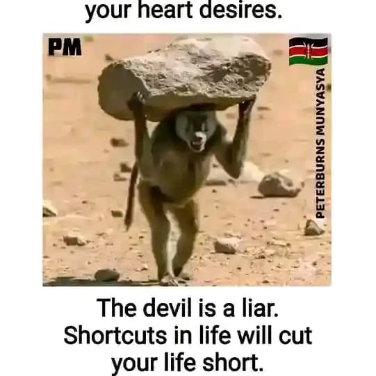Jokes and funny meme