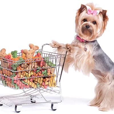 Where To Find Pet Shops In Agege