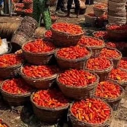 Bodija Market in Ibadan, Oyo State.