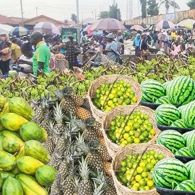 Top 10 Local Fruits Known in Nigeria
