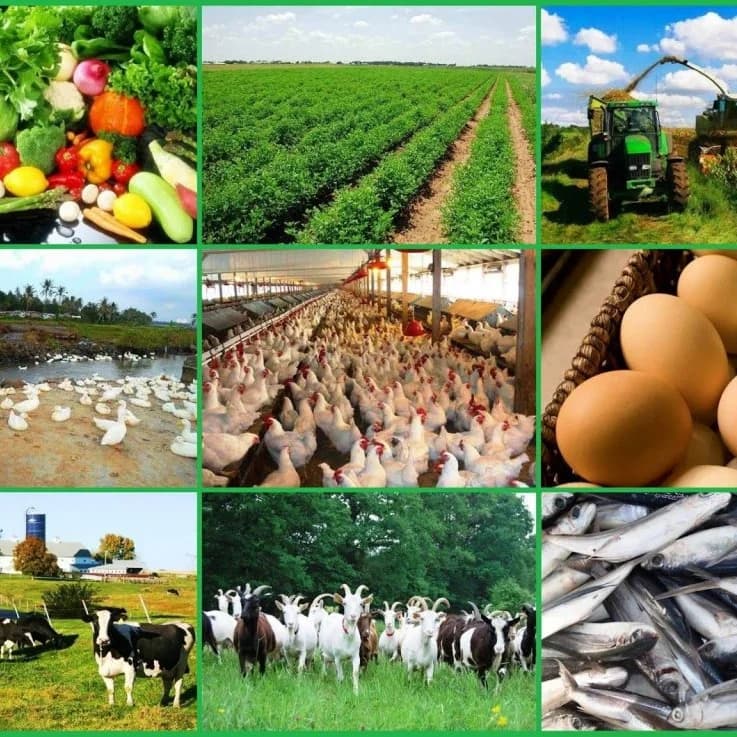 Profitable small businesses in Nigeria