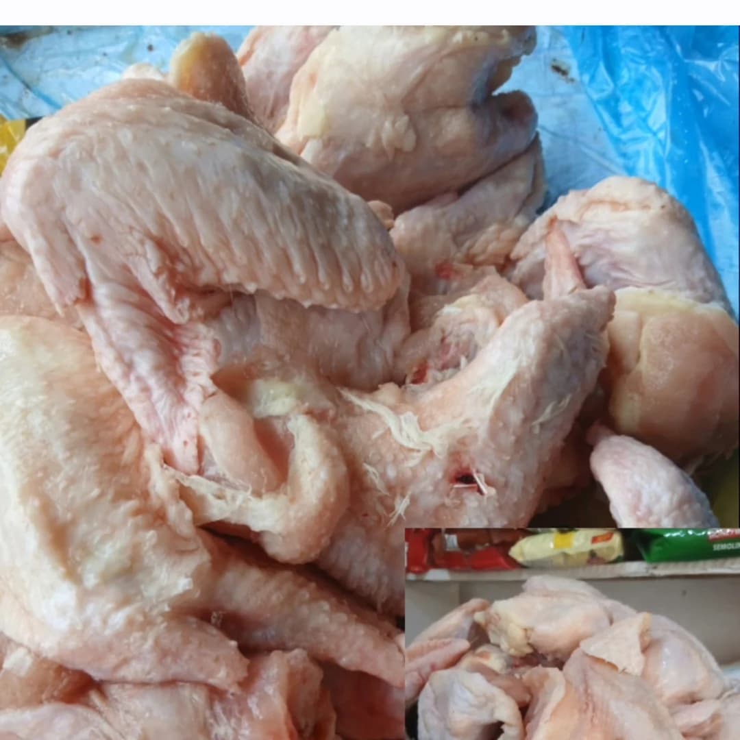 Frozen Food Insight Lagos/Ikola