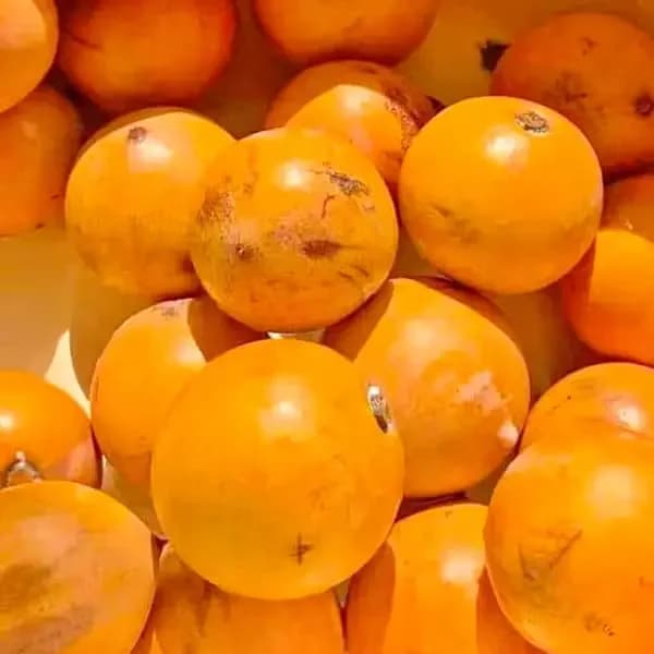 Top 10 Local Fruits Known in Nigeria