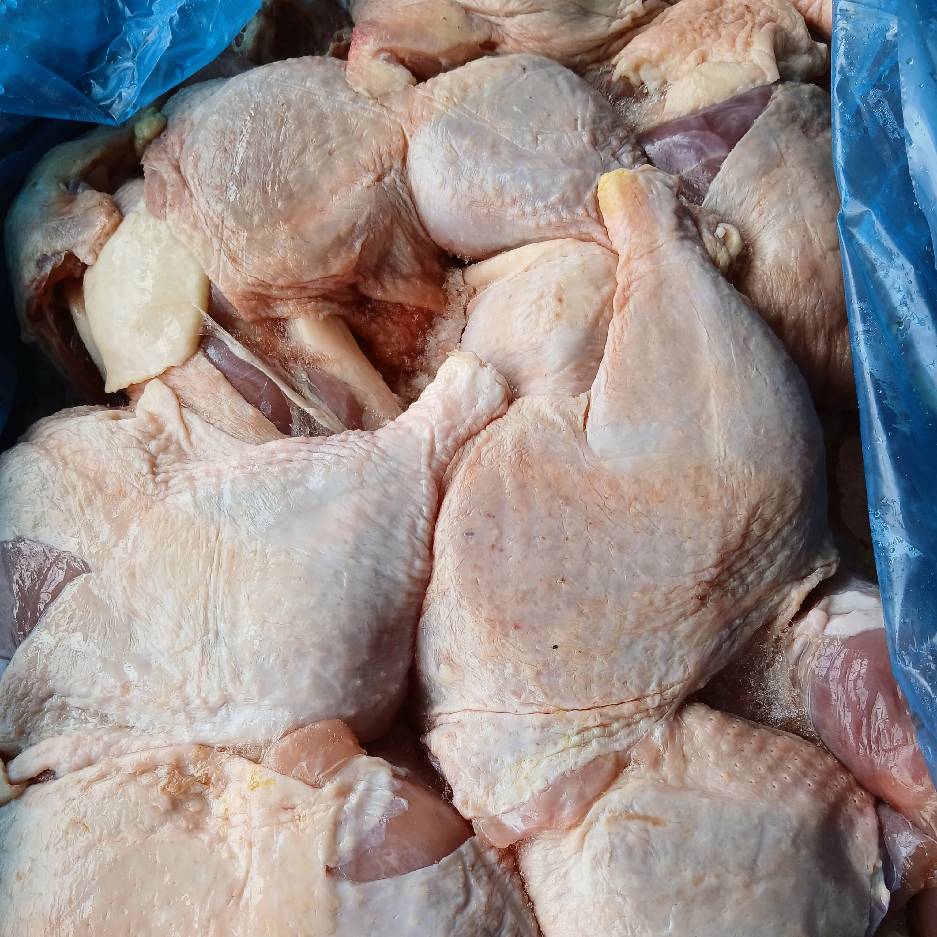 Frozen Food Insight - Lagos/Ikola