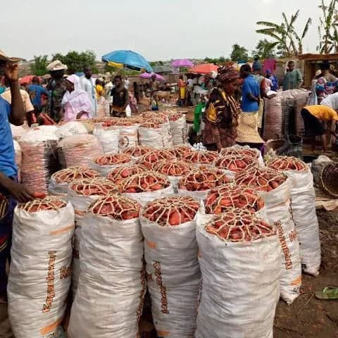 Where I Buy Cheap Pepper and Live Animals in Ibadan