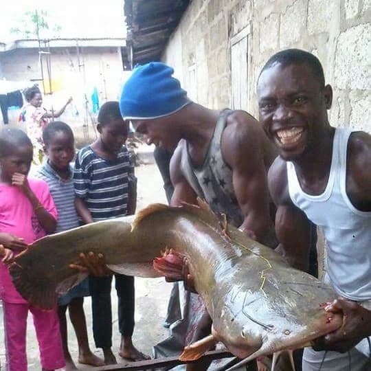 Places to get fresh seafood in Imo State
