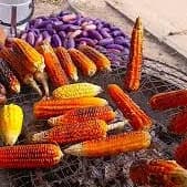 Street Foods You Can Find Around World Bank, Owerri