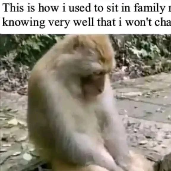 Funny memes for the family