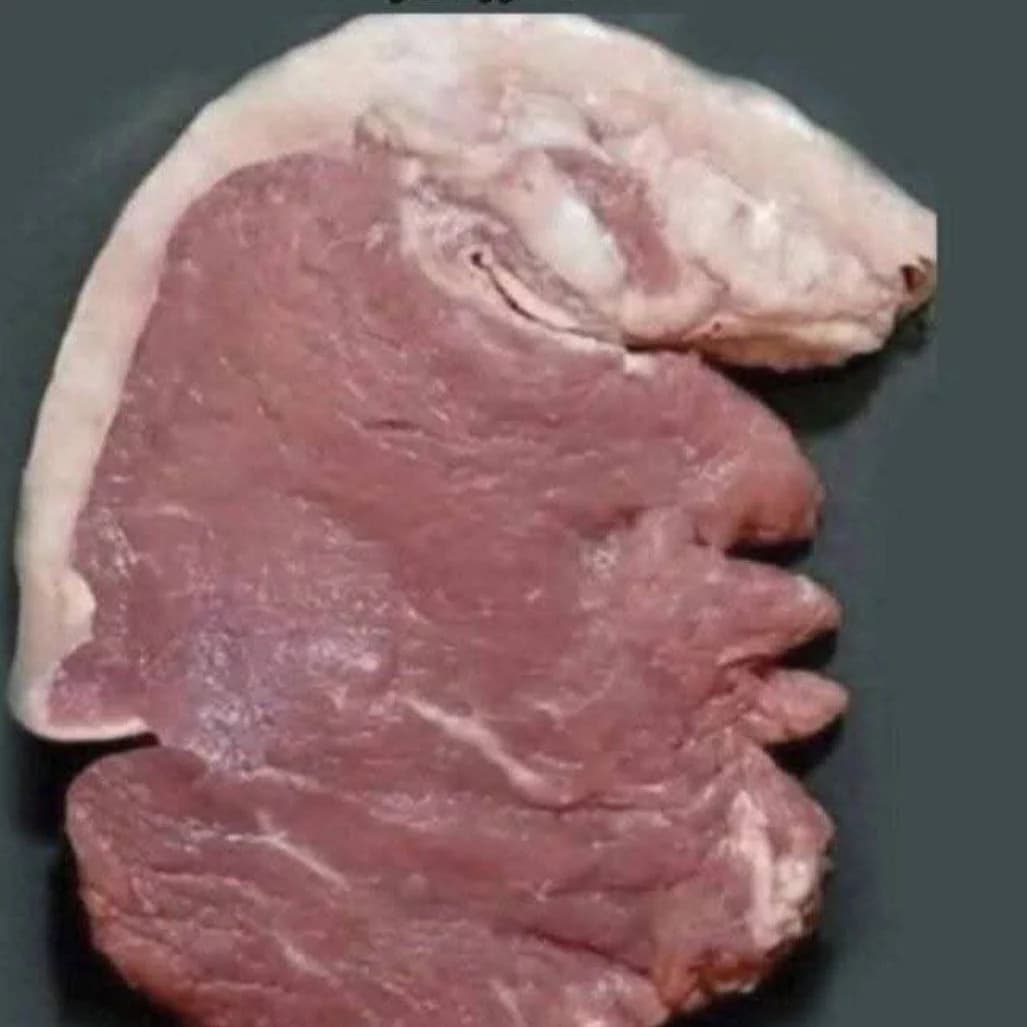 What do you see in the picture above?