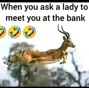 Crack your ribs with laughter, funny memes