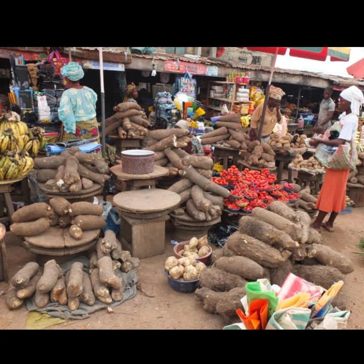 Where to Buy Cheap Foodstuff in Ibadan Without Getting Scammed