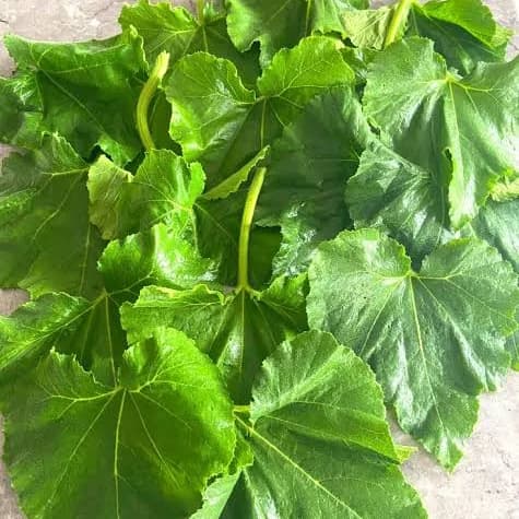 5 Health Benefits of Ugboguru That Made Me Start Eating It More Often