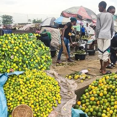 Best Place to Buy Fruits in Bulk in Lagos