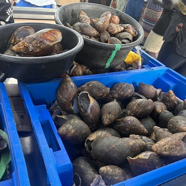 Where to Shop for Food Stuff in Mushin