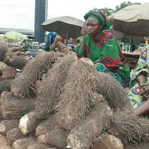 Bodija Market in Ibadan, Oyo State.