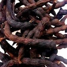 The Usefulness of Uzuza Seed and Uda in Igbo Traditional Cooking and Health