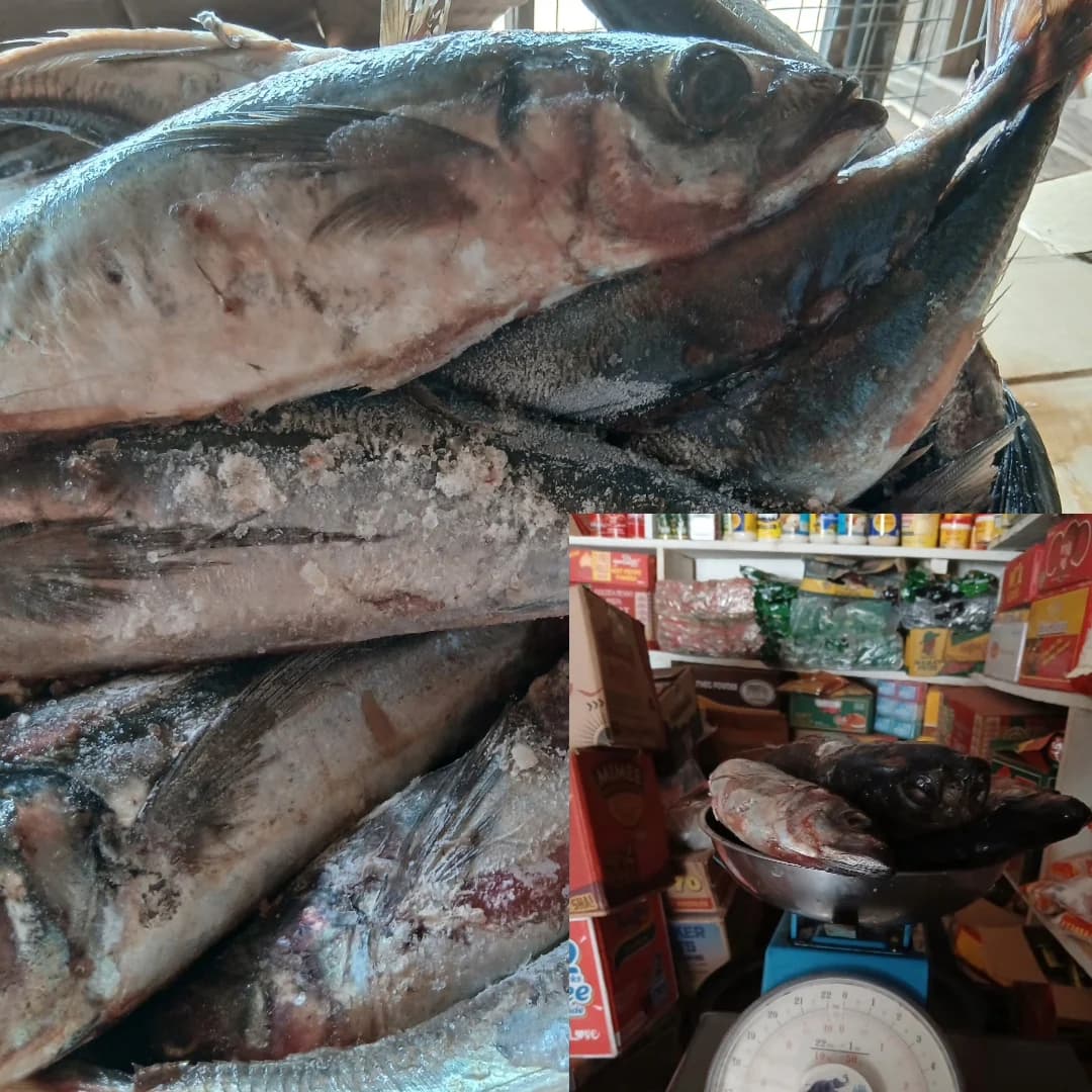Frozen food update - Lagos/Ikola
