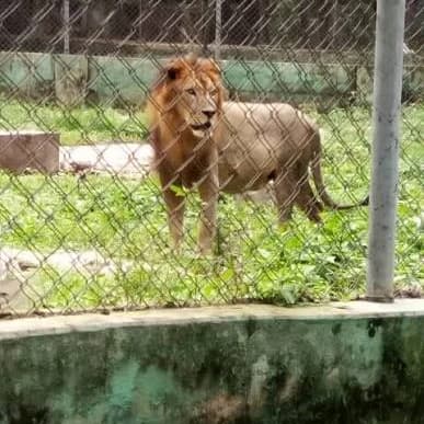 A Perfect Chill Spot in Ibadan? Agodi Gardens