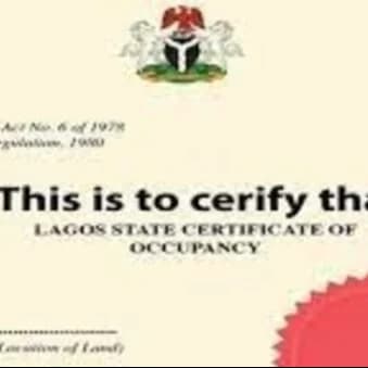 Don’t Buy Land in Lagos Until You Understand These 5 Types of Land