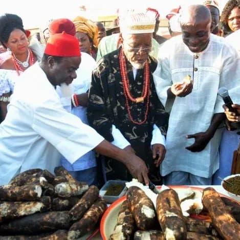 The Beauty of the New Yam Festival in Igbo Land