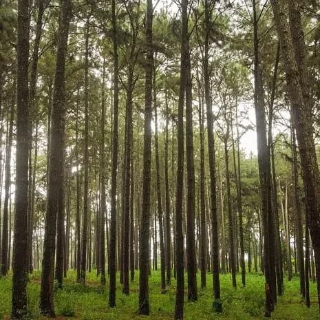Top 5 unbelievable places that exist in Nigeria