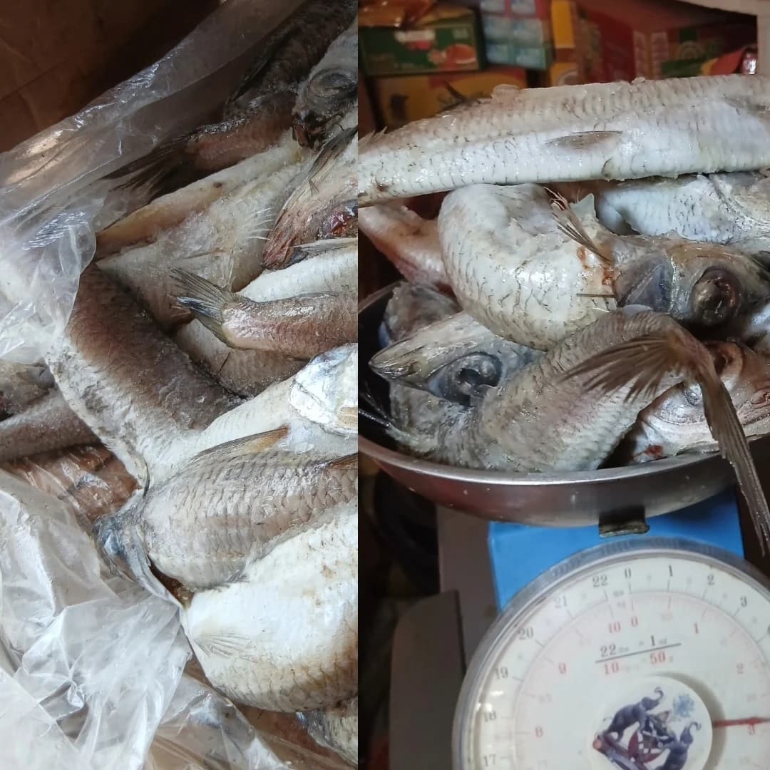 Frozen Food Insight Lagos/Ikola