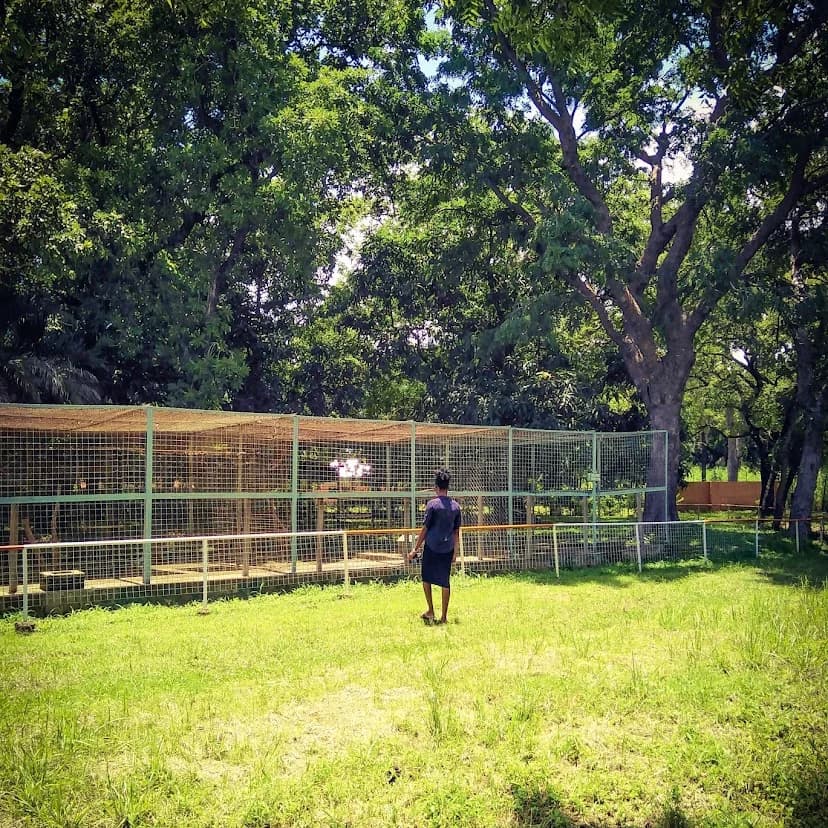 My Experience Visiting Makurdi Zoo in Benue State