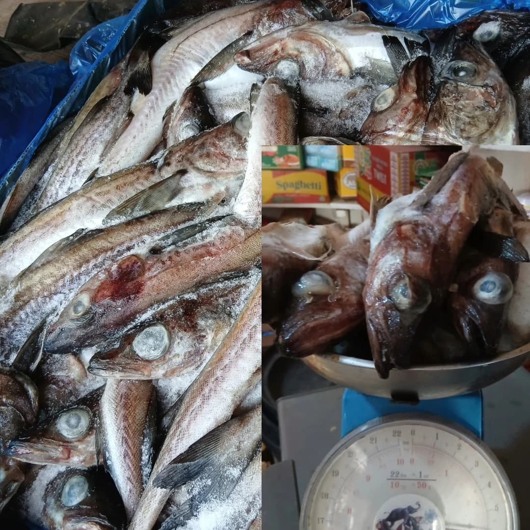 New Update (Frozen Food) Lagos/Ikola
