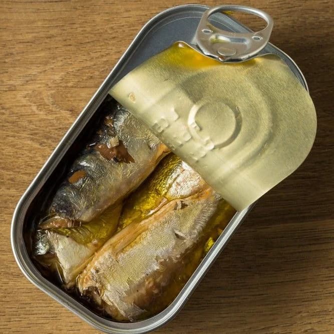 My story about SARDINES fish