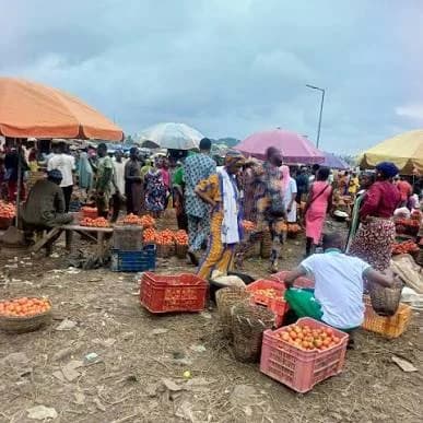 Where I Buy Cheap Pepper and Live Animals in Ibadan