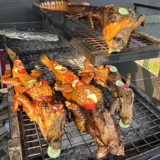 Where to get grilled crocodile in Lagos