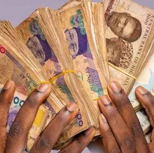 How to protect the value of your naira using just two(2) apps