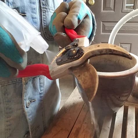 How to Disinfect Farm Tools to Prevent Plant Diseases