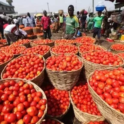 Cheapest food market in Lagos: Ile-Epo foodstuff market