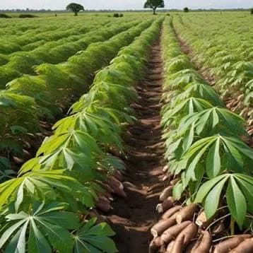 The Future of Real Estate in Nigeria is Agricultural Estates 🌱🏡