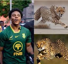 SpeedDoesAfrica: Cheetah Race vs Lagos Crowd — Defining Moment
