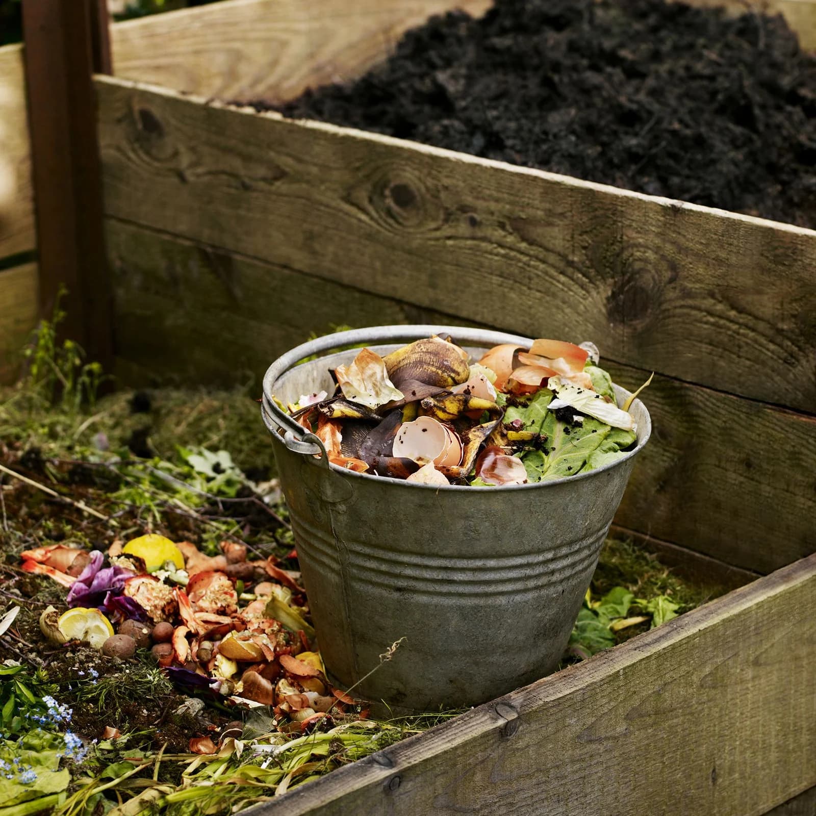How to Make Organic Compost at Home Without Spending Money