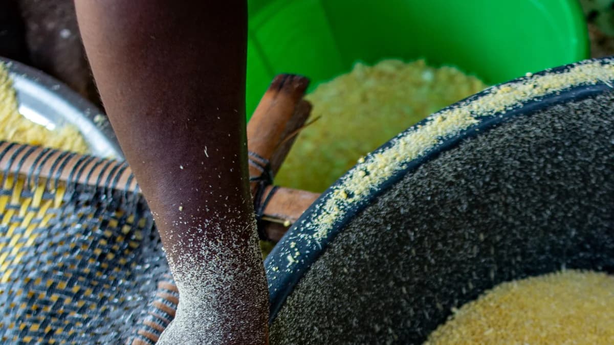 Does drinking too much garri cause blindness?