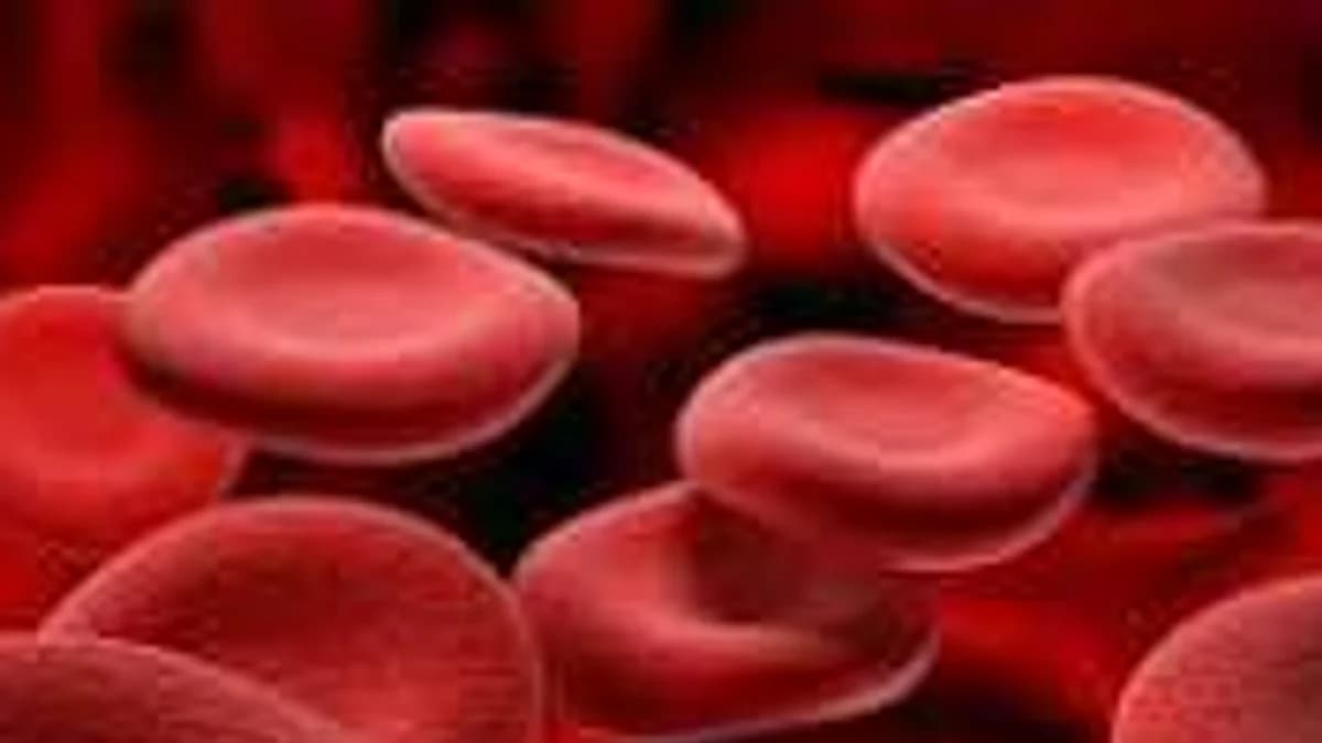 Your Blood Has Different Ages