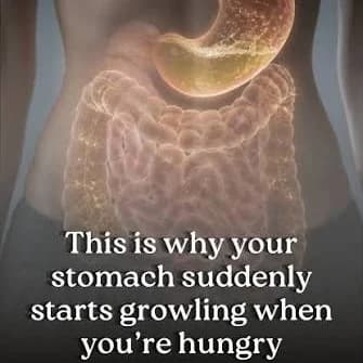 Why Does Your Stomach Growl When You're Hungry? 🍽️😂