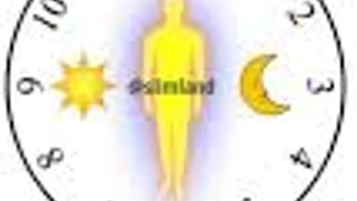 Your Body Has a 24-Hour Clock