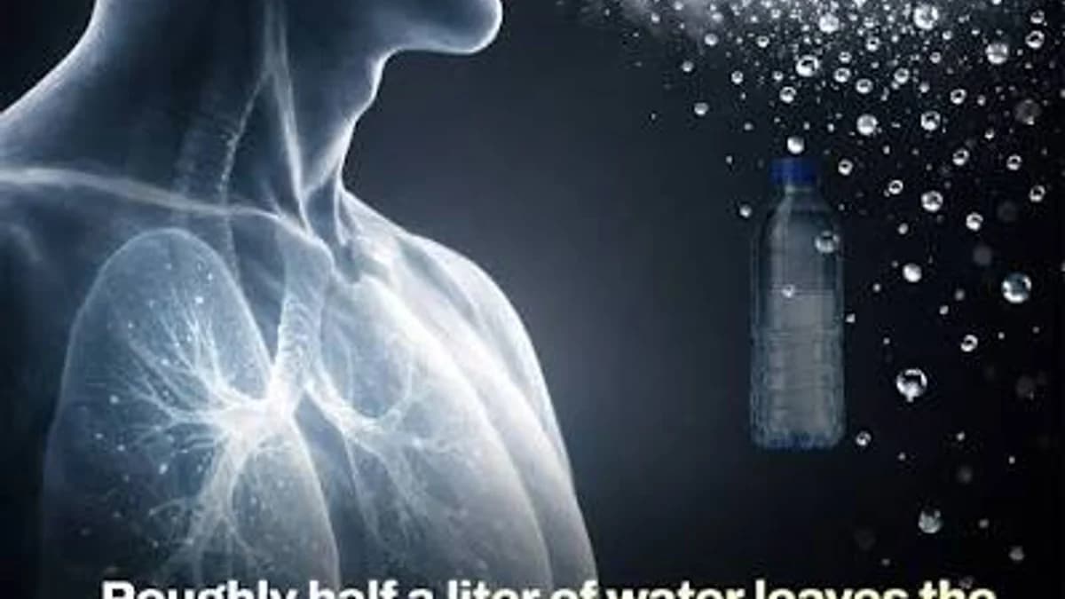 You Lose Water Every Time You Breathe