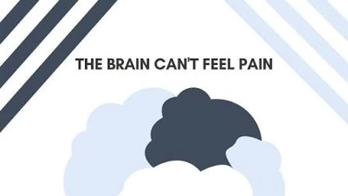 Your Brain Can't Feel Pain 🧠