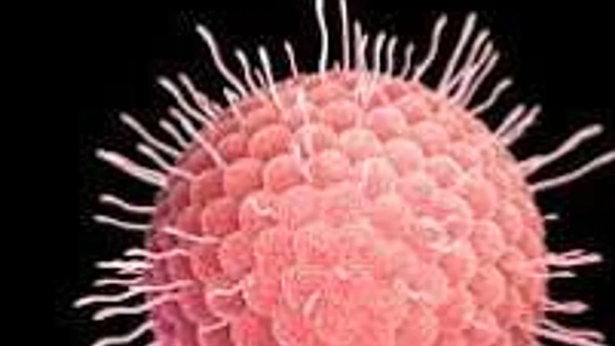Your Immune System Has a Memory