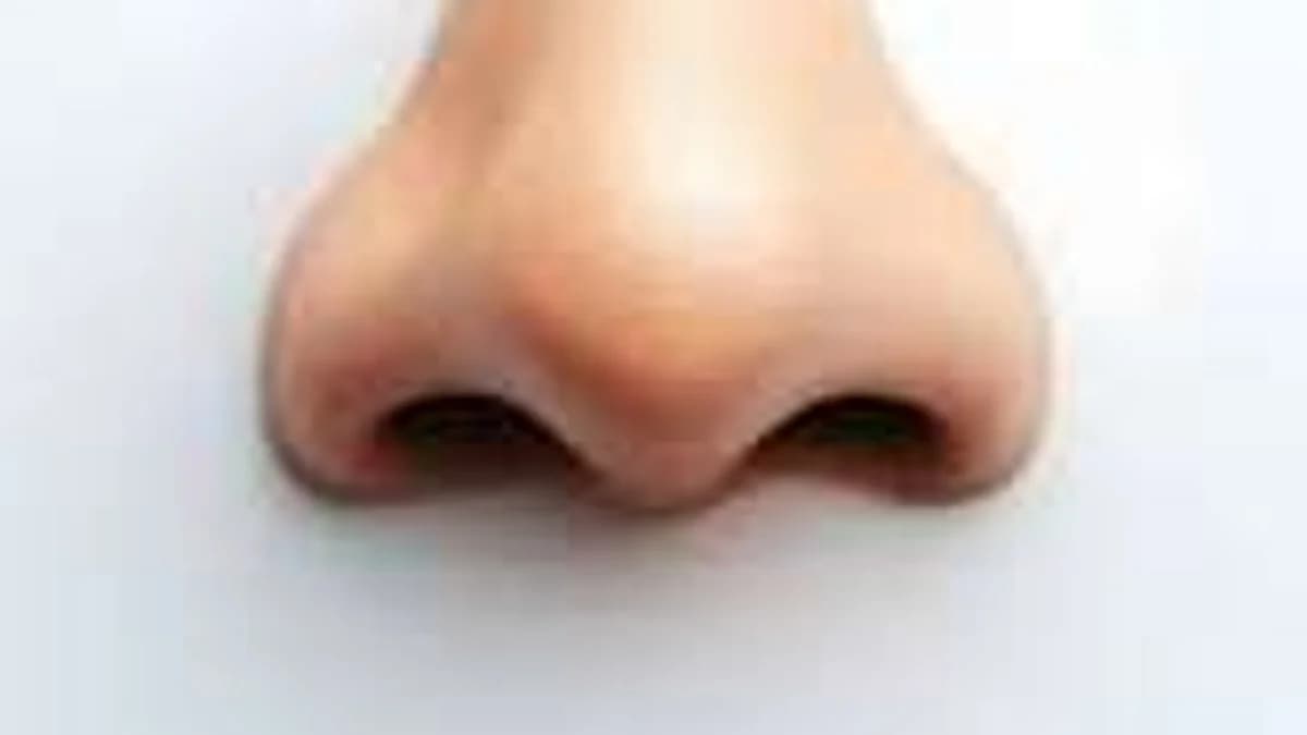 Your Nose Can Smell Before You Notice