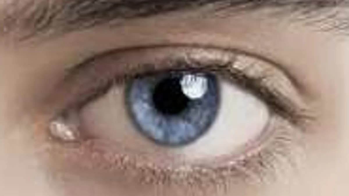 Your Eyes Have a Blind Spot