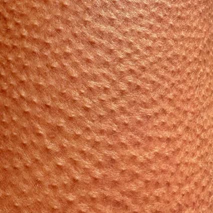 Why Do You Get Goosebumps? 🥶
