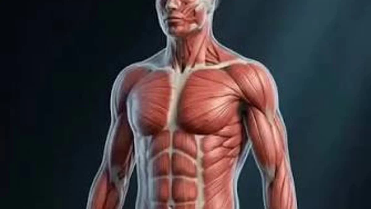 You Have Muscles You Never Think About