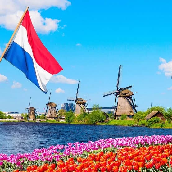 How to Become a Dutch Citizen in 5 Years as a Nigerian
